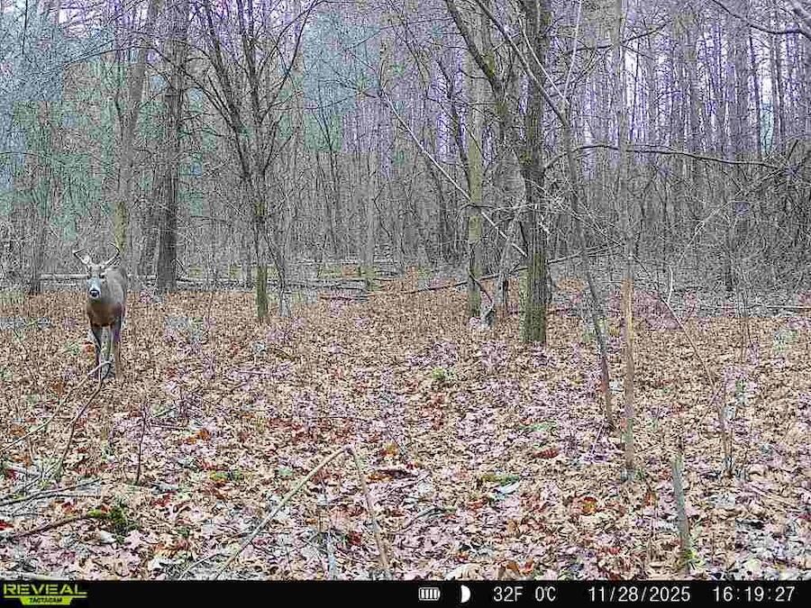2500 West Quarter Line Road Coleman, MI 48618 - Photo 227 of 241 6812217725129041701