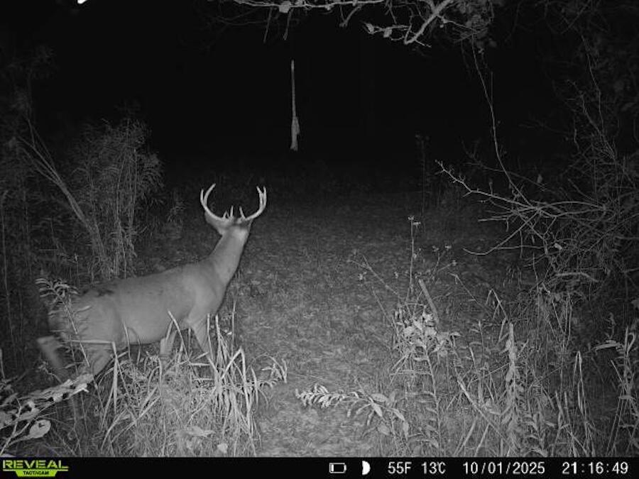 2500 West Quarter Line Road Coleman, MI 48618 - Photo 229 of 241 7330682024547191824