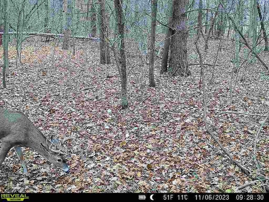 2500 West Quarter Line Road Coleman, MI 48618 - Photo 233 of 241 7793737629802975952