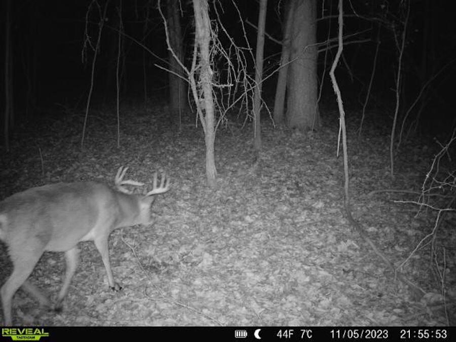 2500 West Quarter Line Road Coleman, MI 48618 - Photo 234 of 241 7822354117935537254