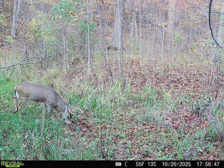 2500 West Quarter Line Road Coleman, MI 48618 - Photo 237 of 241 8370055121963450429