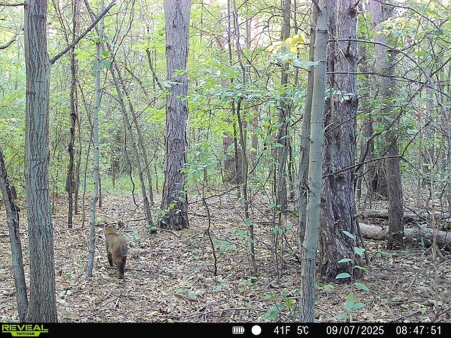 2500 West Quarter Line Road Coleman, MI 48618 - Photo 240 of 241 9070415827963366894