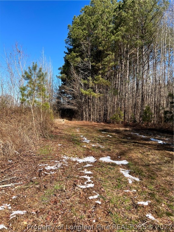 0 Clinton Road Fayetteville, NC 28312 - Photo 3 of 6 Gallery Image 3