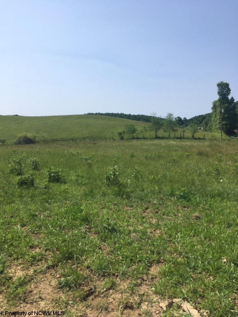 1 Gilman Road Elkins, WV 26241 - Photo 2 of 15 Gallery Image 2