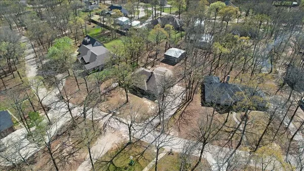 a view of a tree with a yard