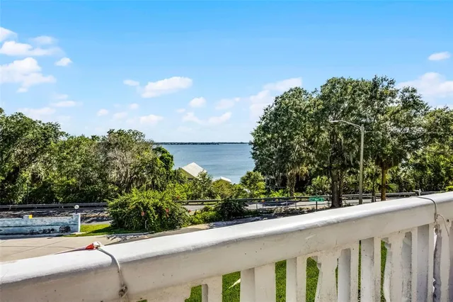 a view of a balcony that has plants and a palm tree