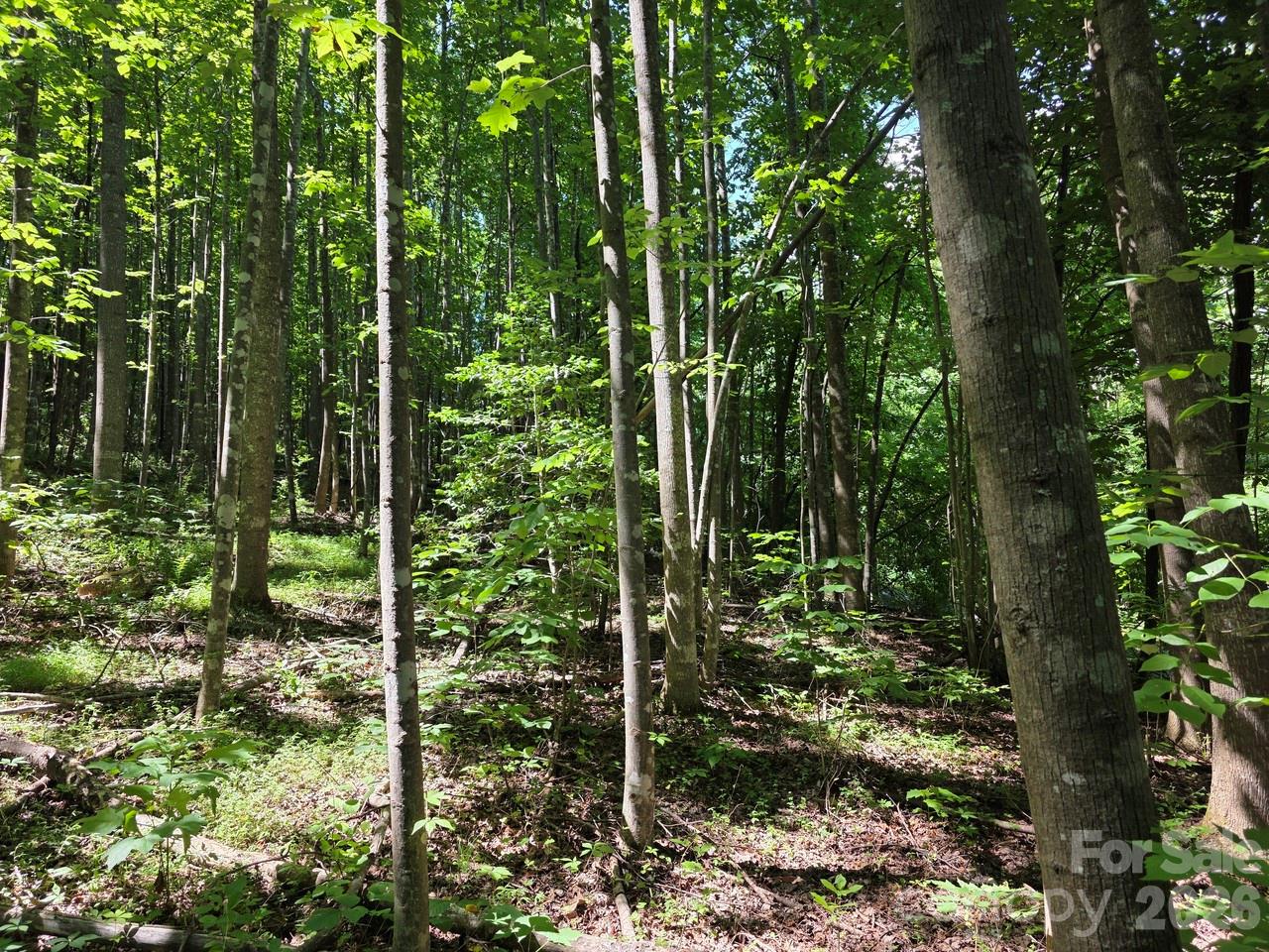 Lot 45 South S View Marion, NC 28752 - Photo 7 of 10