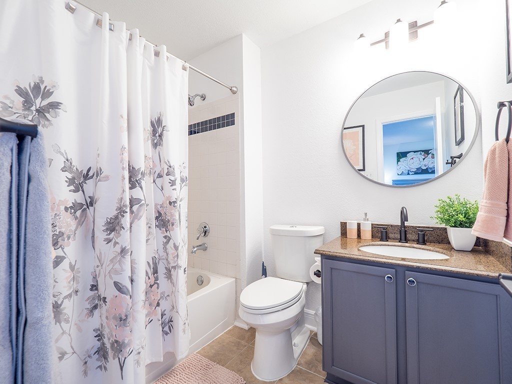 3257 Elizabeth Anne Lane Round Rock, TX 78664 - Photo 16 of 31 a bathroom with a toilet sink and mirror