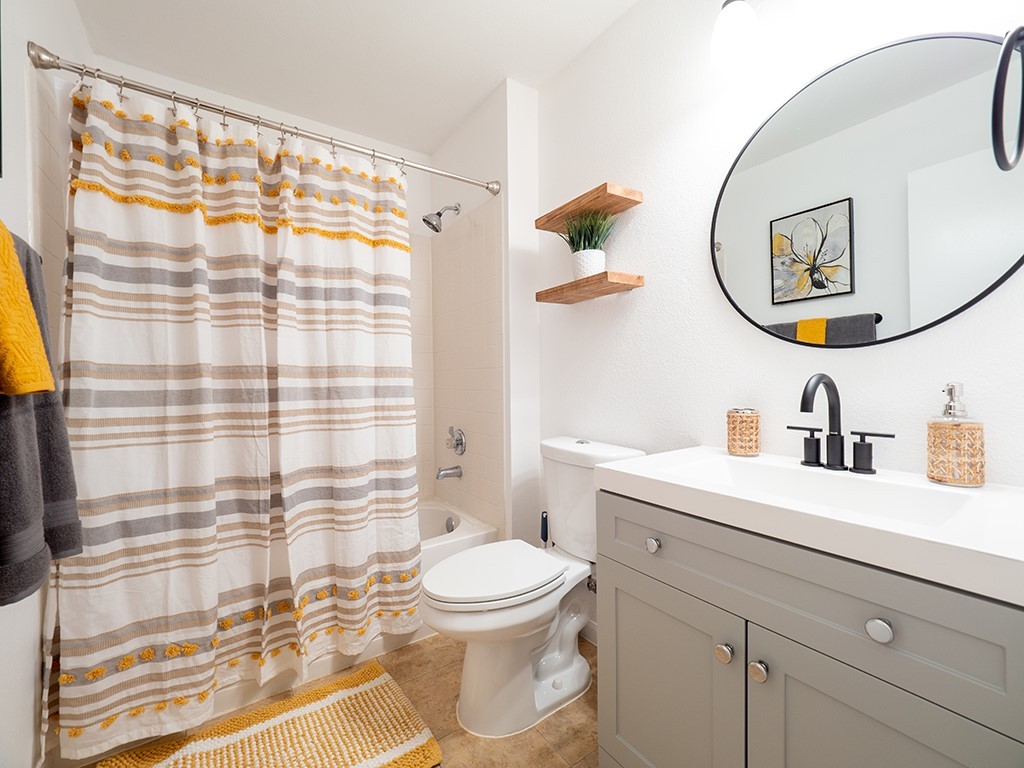 3257 Elizabeth Anne Lane Round Rock, TX 78664 - Photo 22 of 31 a bathroom with a sink a toilet and a mirror