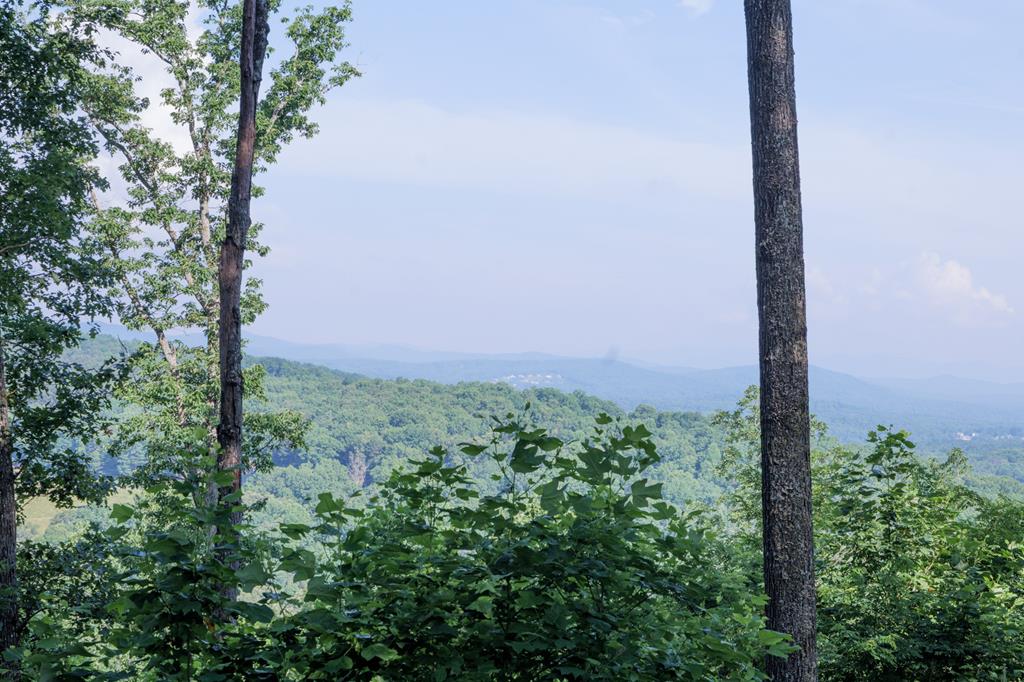 90 Winding Ridge Blairsville, GA 30512 - Photo 1 of 4 Main View