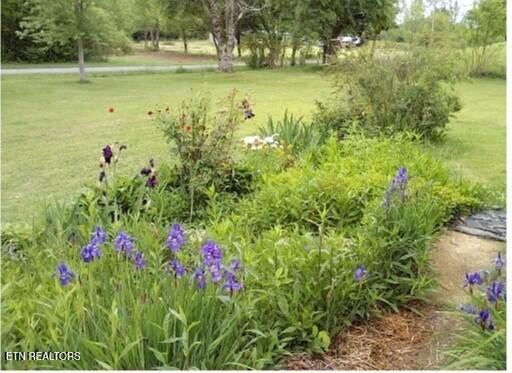 1894 Paint Rock Valley Road Philadelphia, TN 37846 - Photo 18 of 21 Paint Rock Garden