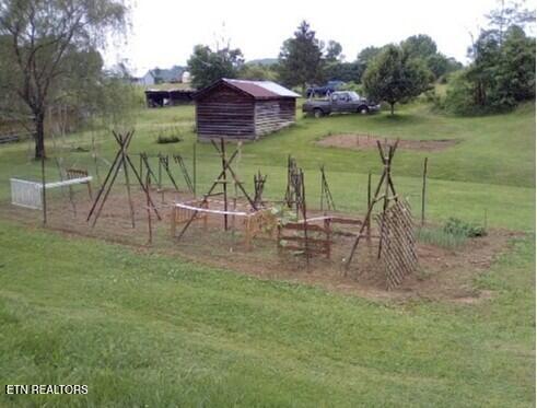 1894 Paint Rock Valley Road Philadelphia, TN 37846 - Photo 20 of 21 Yard