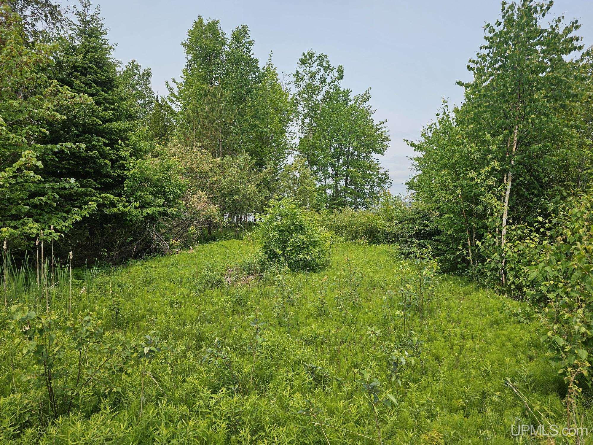 432 Rd Gulliver Mi 49840 Road Gulliver, MI 49840 - Photo 8 of 10
