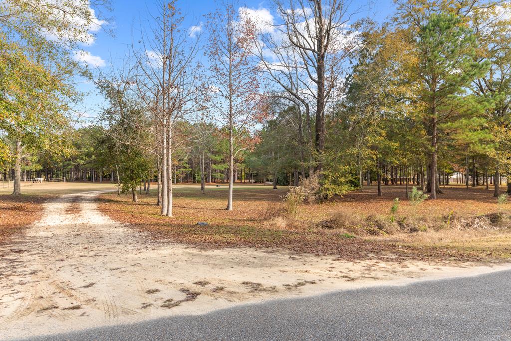 4221 Iris Road Dothan, AL 36301 - Photo 67 of 68