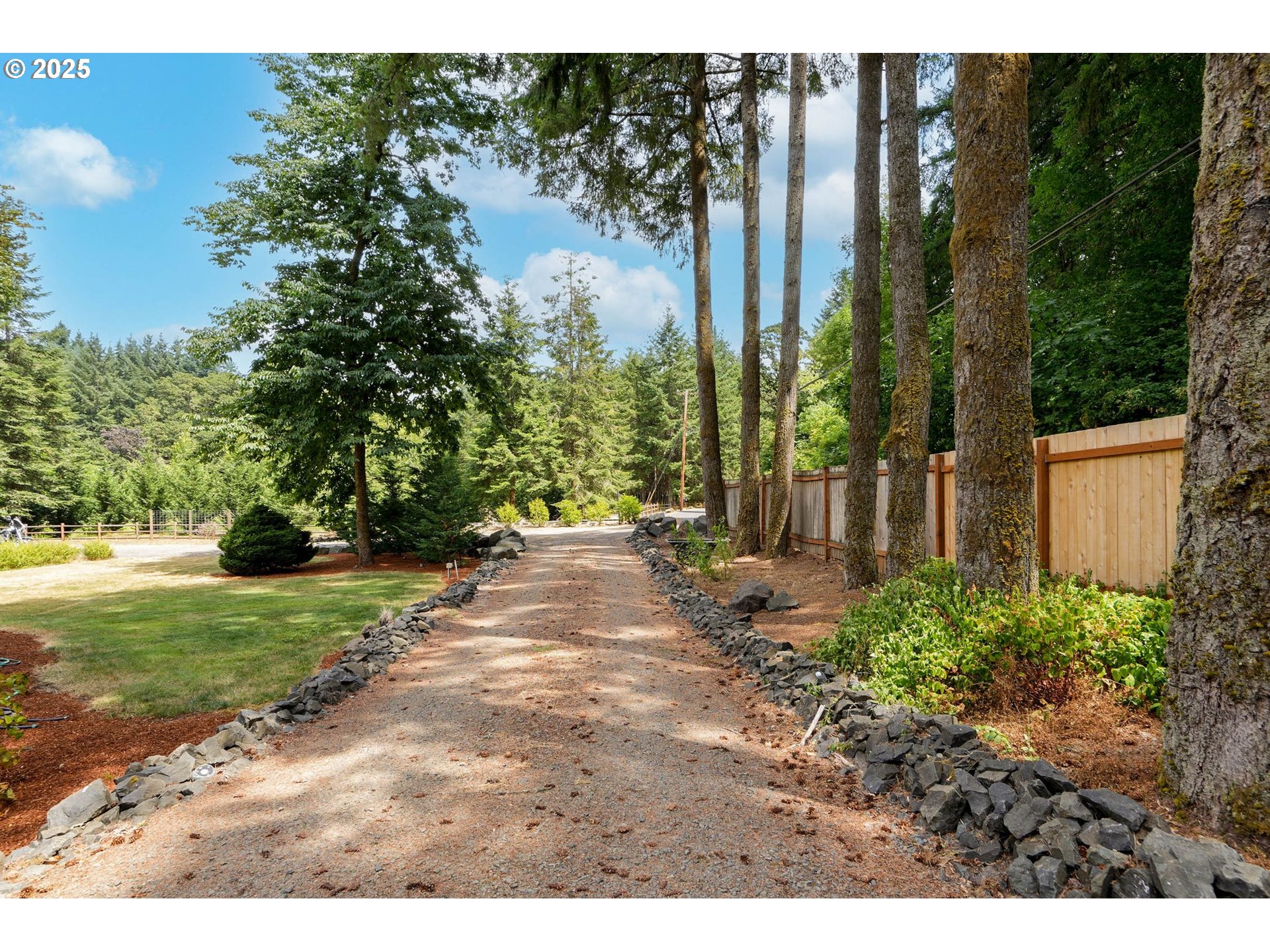 241 Rees Hill Road Southeast Salem, OR 97306 - Photo 7 of 40 a view of a yard with plants and a bench