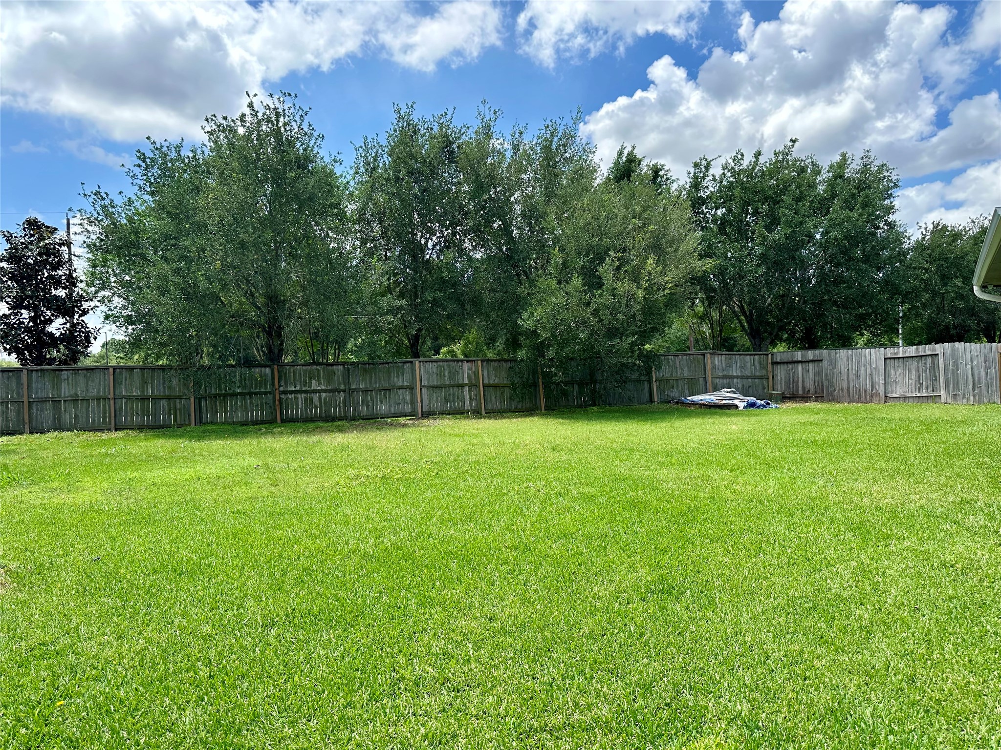 18622 Each Elm Way Houston, TX 77084 - Photo 34 of 35 a view of yard with grass and trees