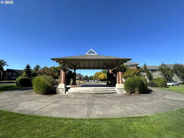 a park view with a slide