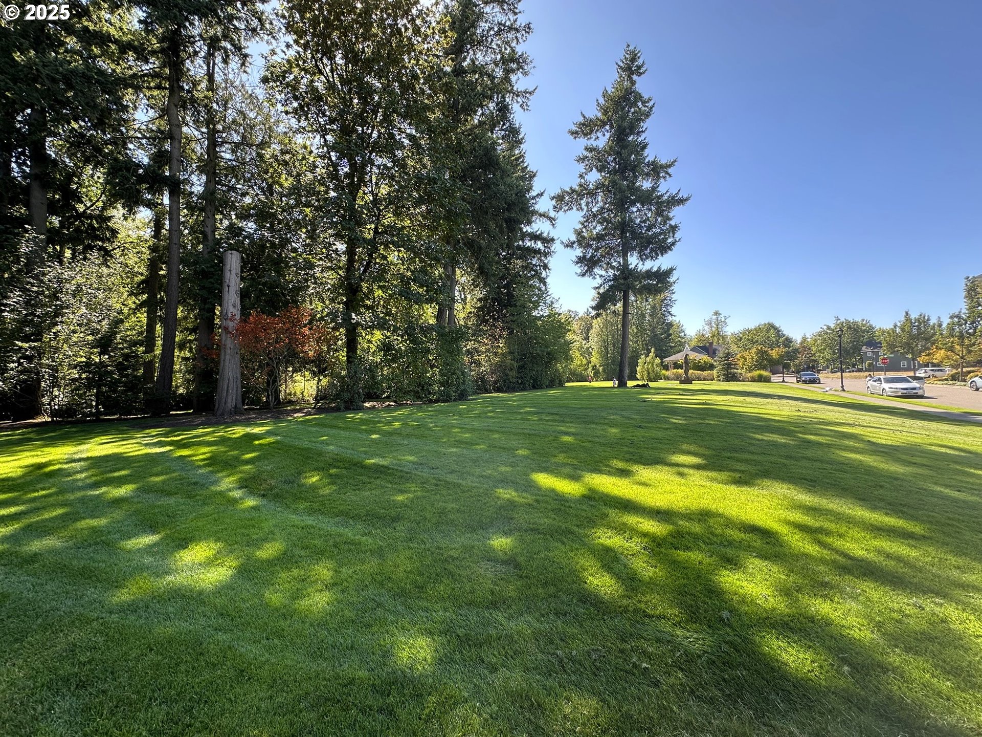 1505 Northeast Village Street Fairview, OR 97024 - Photo 32 of 33 a backyard of a house with lots of green space