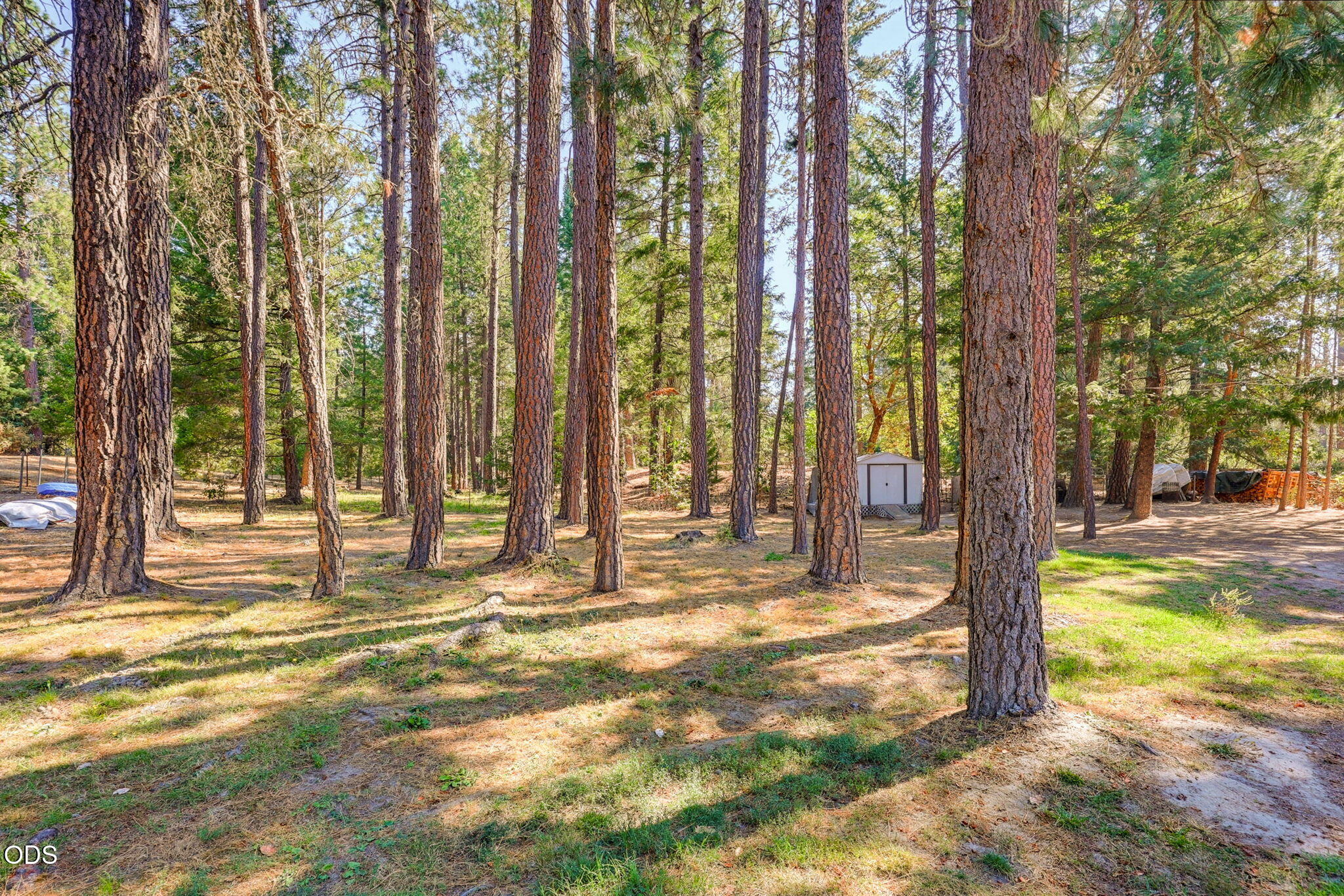 2282 Stringer Gap Road Grants Pass, OR 97527 - Photo 33 of 61 Gallery Image 33