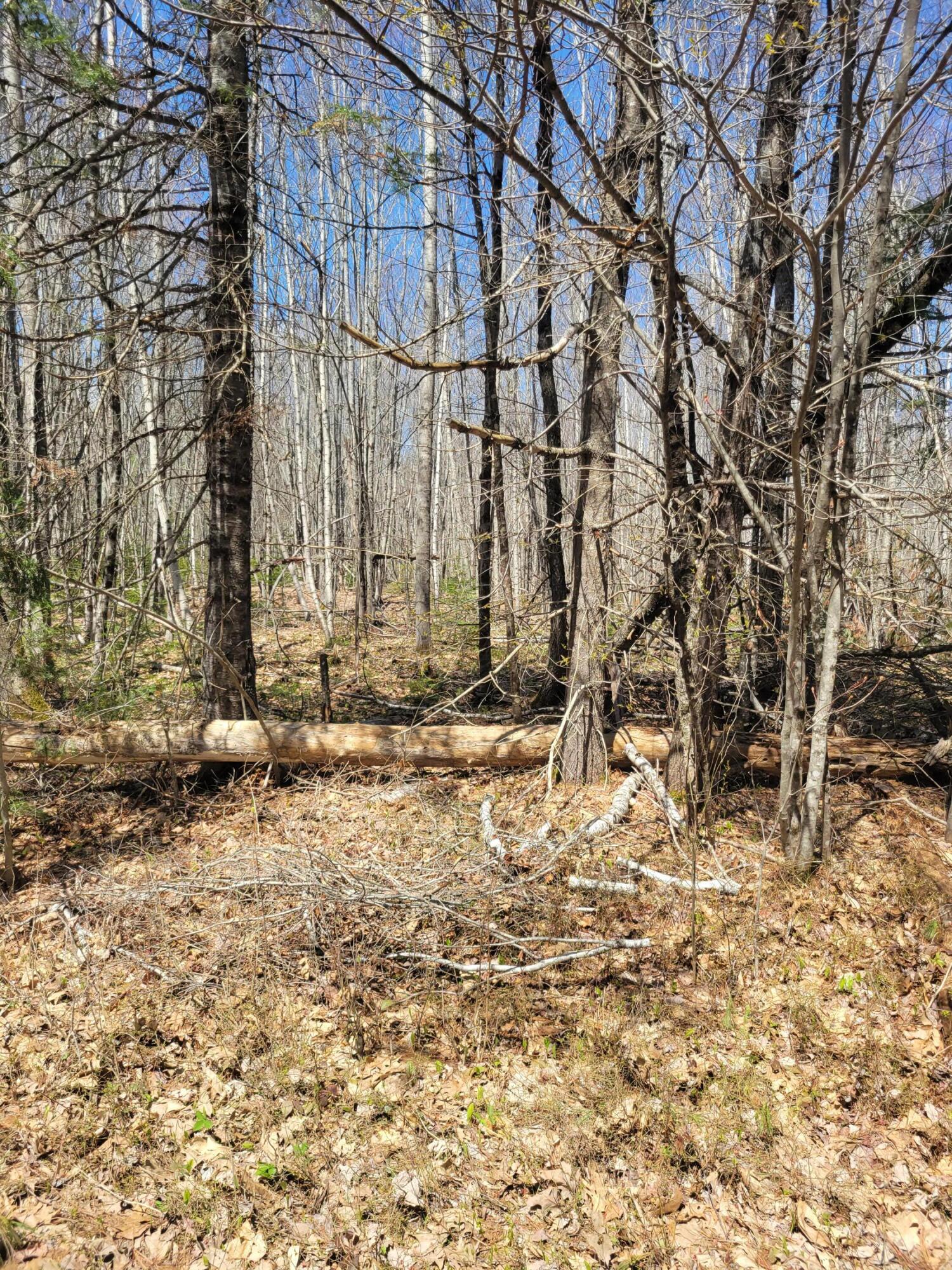 0 Middle River Road Greenbush, ME 04418 - Photo 30 of 42 20220505_113152