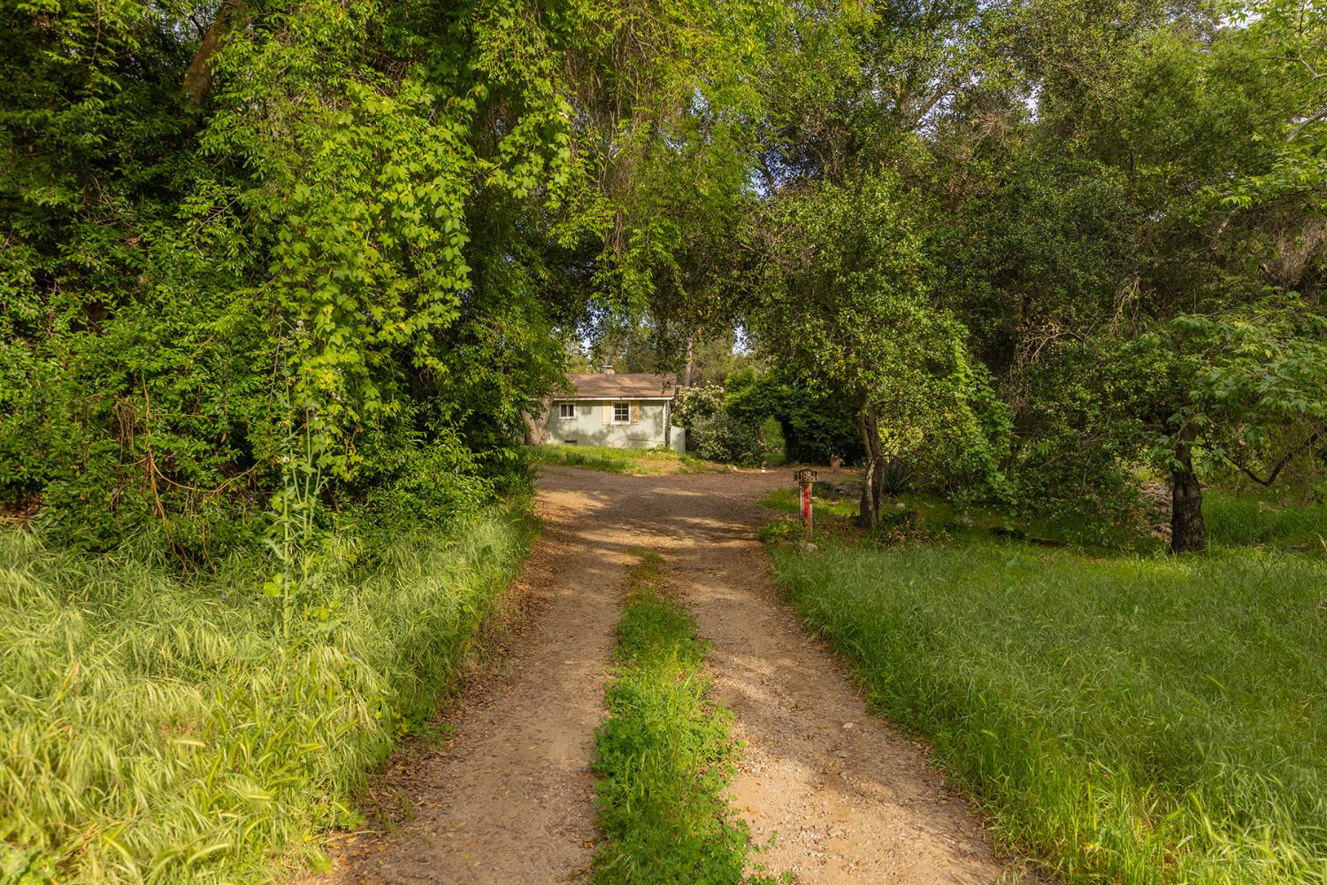 11954 Sulphur Mountain Road Ojai, CA 93023 - Photo 13 of 41 a view of yard with green space