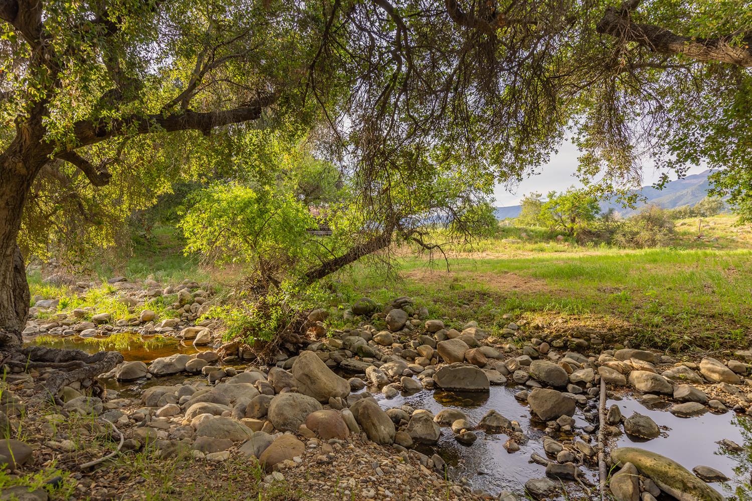 11954 Sulphur Mountain Road Ojai, CA 93023 - Photo 16 of 41 a view of a yard of a house