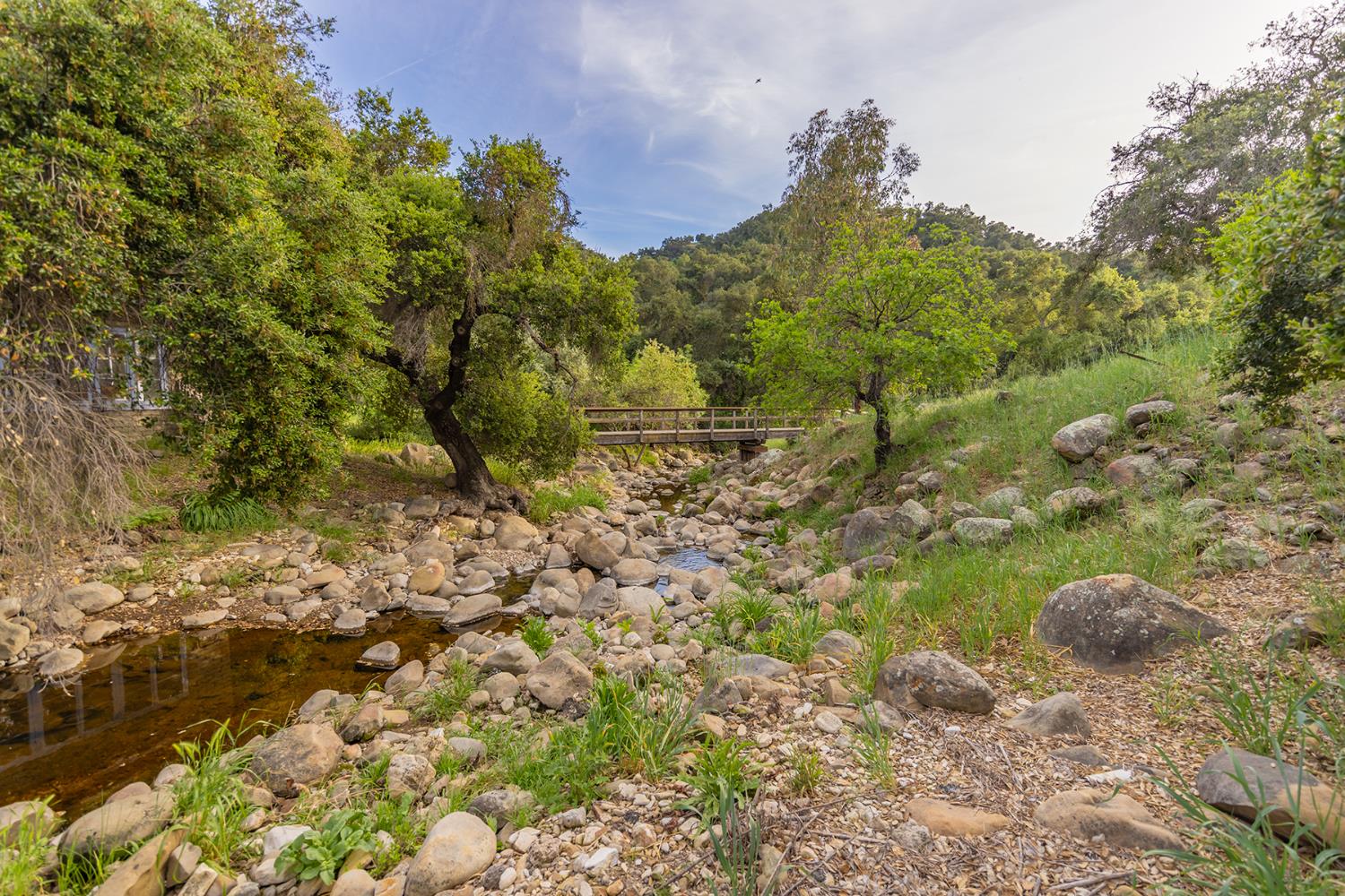 11954 Sulphur Mountain Road Ojai, CA 93023 - Photo 5 of 41 a view of a bunch of trees and bushes