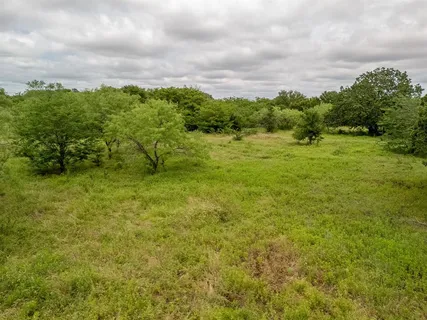 a view of a green field with lots of bushes