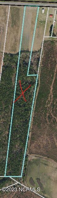 9999 Blue Newkirk Road Magnolia, NC 28453 - Photo 2 of 2 Great For Mini Farm