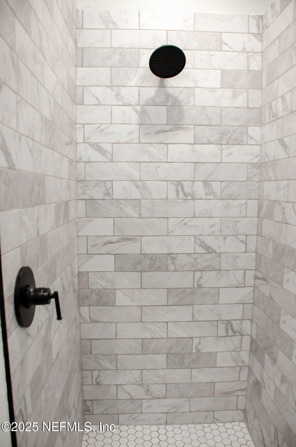 4373 Falcon Run Lane Middleburg, FL 32068 - Photo 25 of 38 Walk-in shower