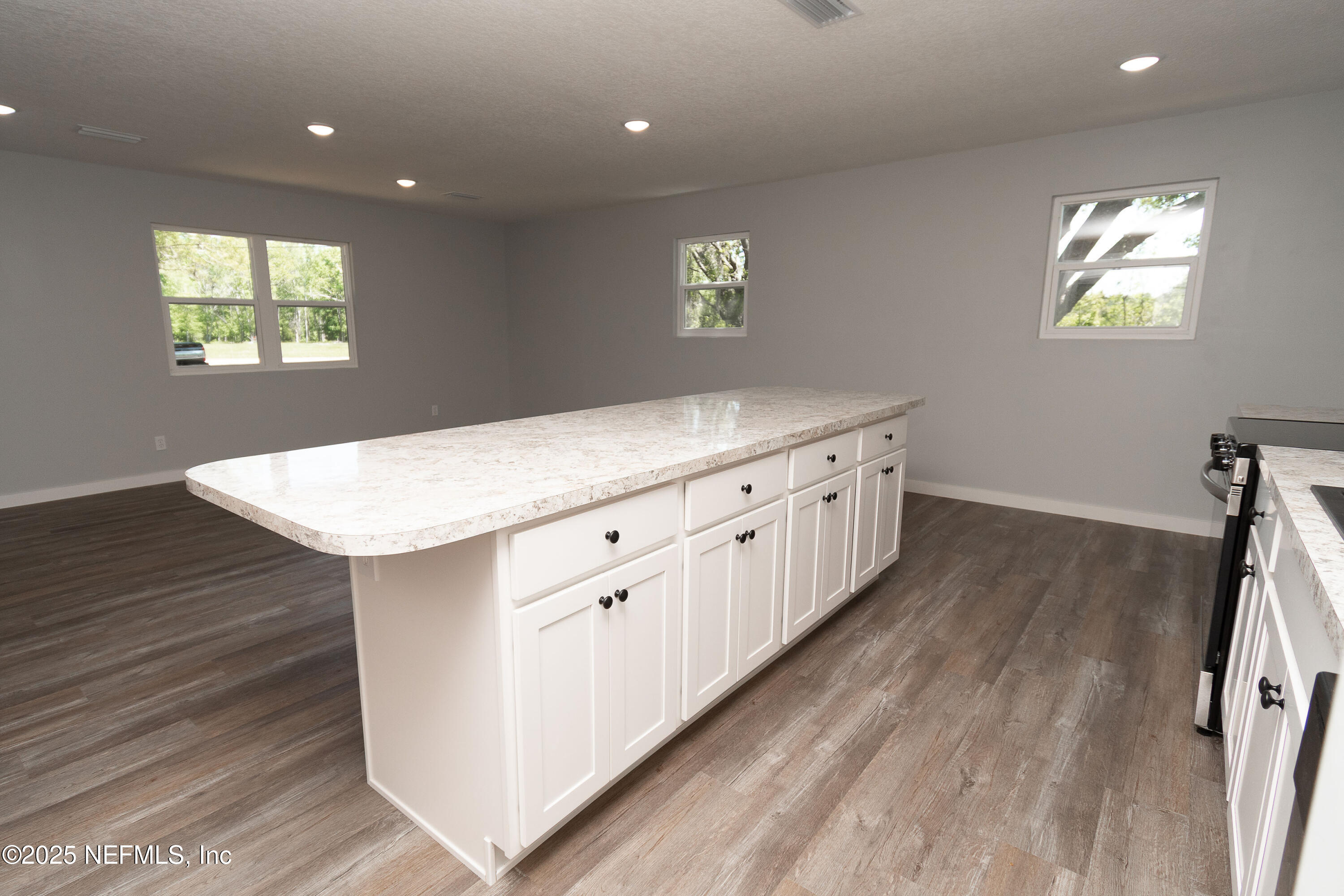 4373 Falcon Run Lane Middleburg, FL 32068 - Photo 5 of 38 Kitchen/Livingroom