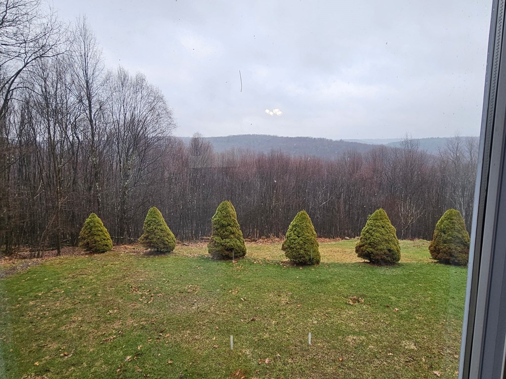 1127 Crystal Springs Road Tionesta, PA 16353 - Photo 3 of 22