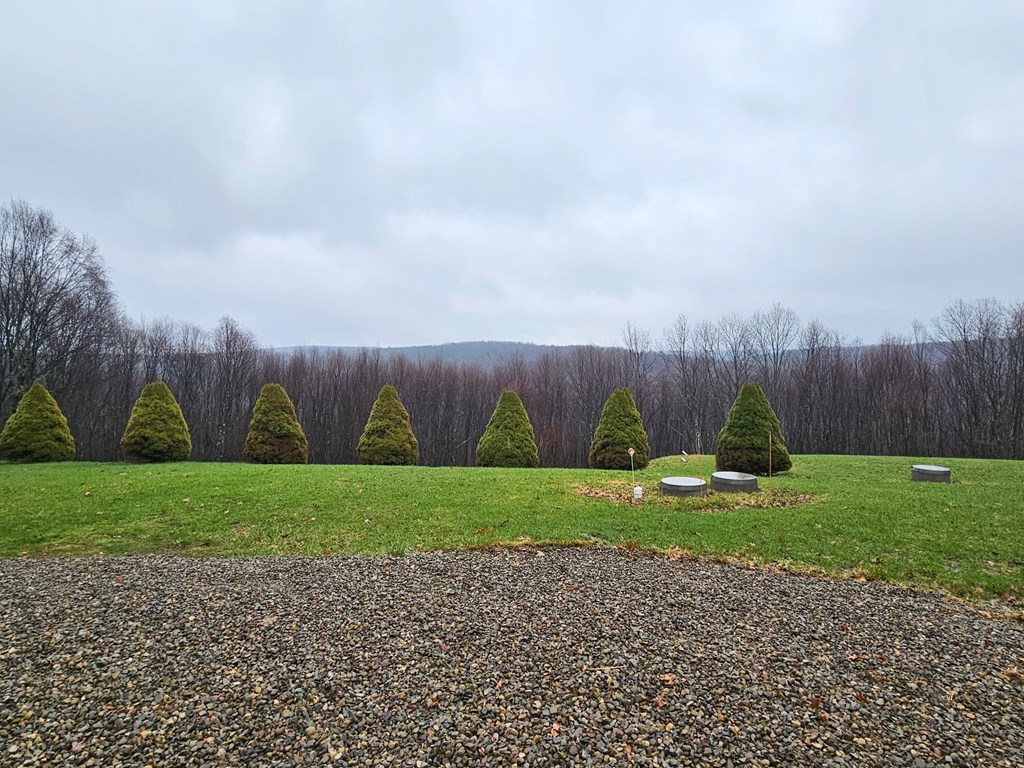 1127 Crystal Springs Road Tionesta, PA 16353 - Photo 4 of 22