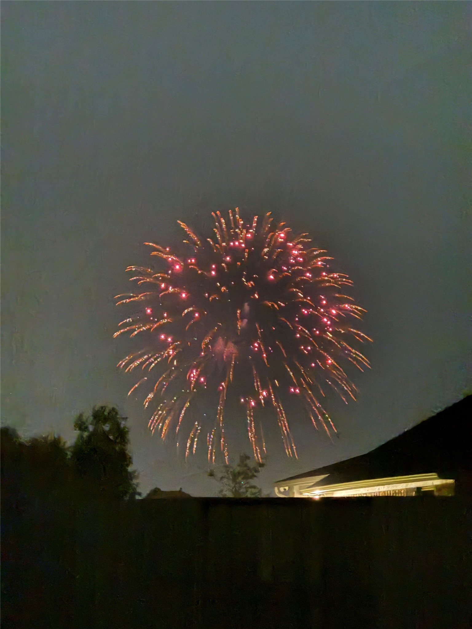9538 Sanger Way Manvel, TX 77578 - Photo 46 of 50 Stunning view of the neighborhood fireworks display, offering a clear and unobstructed perspective without the need to navigate through crowded areas