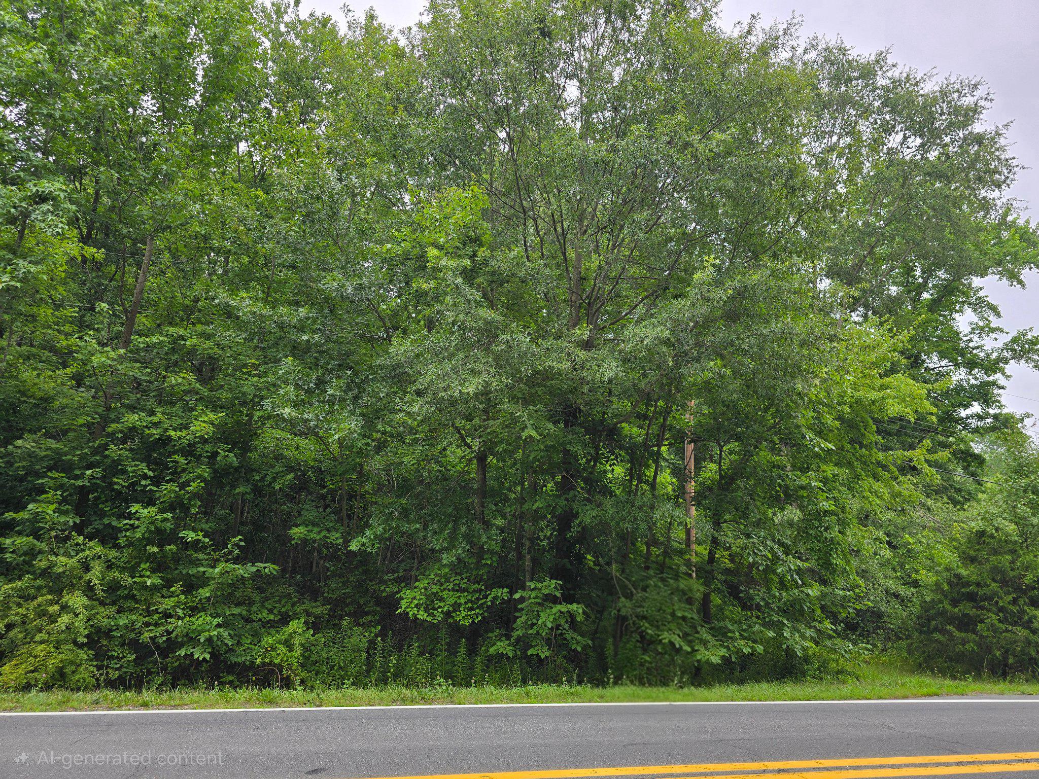1399 Longridge Road Clayton, DE 19938 - Photo 6 of 7