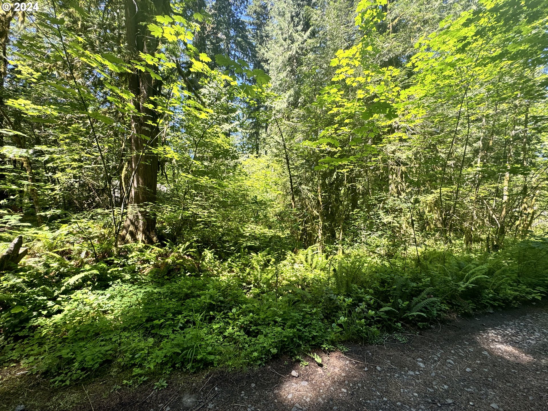 East Section Line Road Rhododendron, OR 97049 - Photo 1 of 7 Gallery Image 1