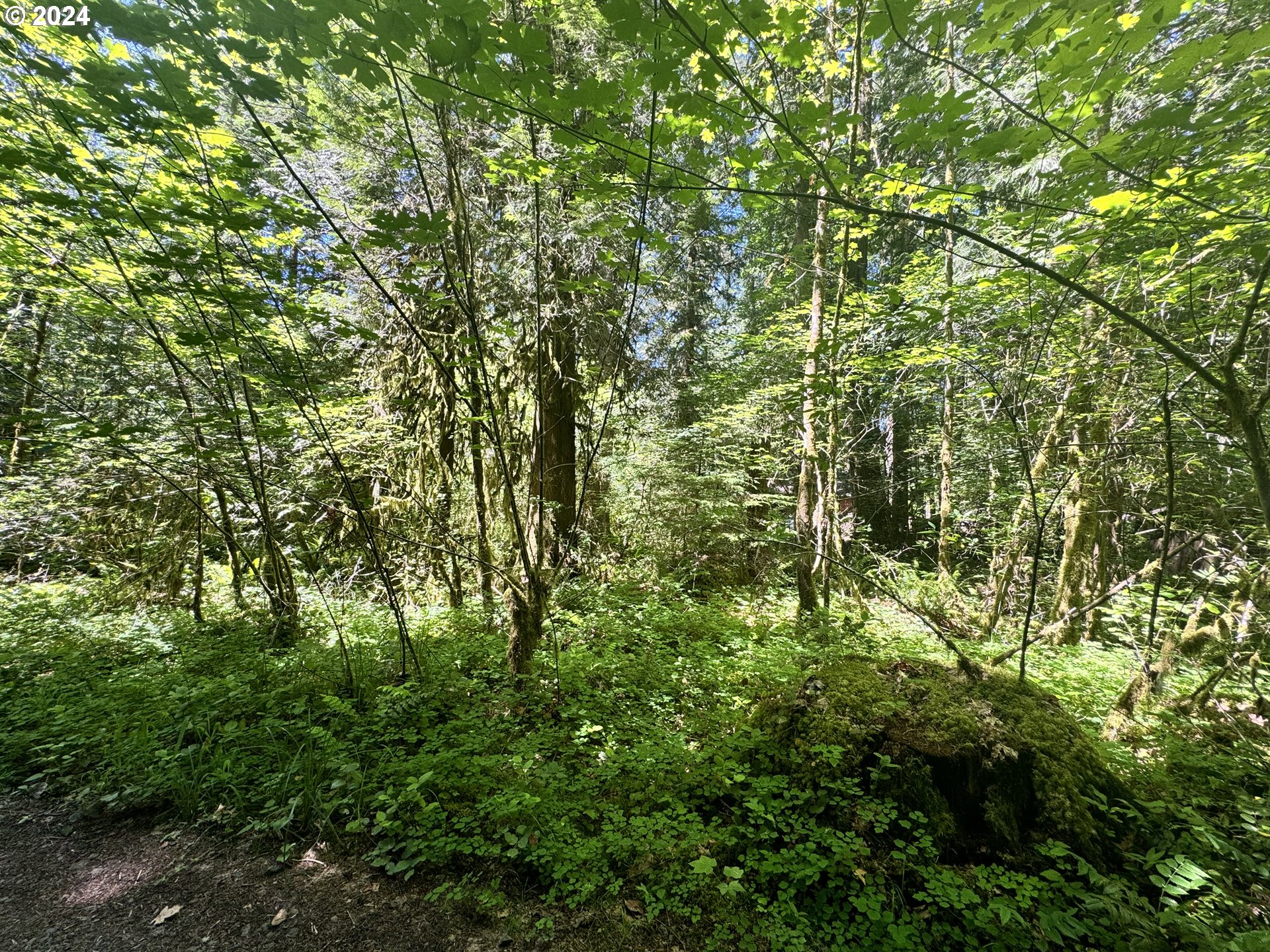 East Section Line Road Rhododendron, OR 97049 - Photo 2 of 7 Gallery Image 2