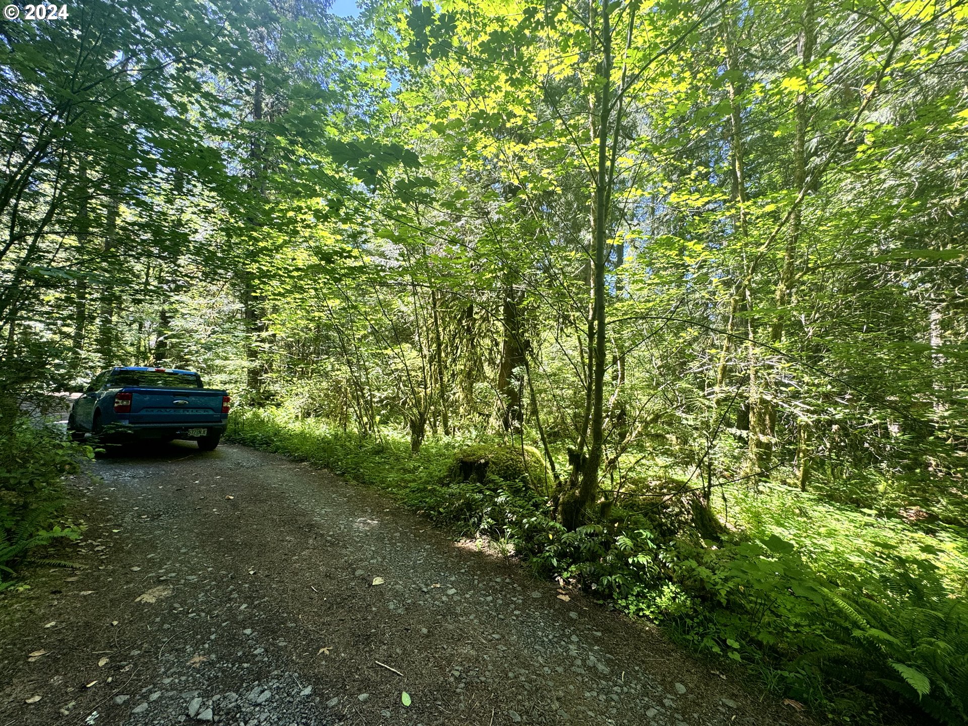 East Section Line Road Rhododendron, OR 97049 - Photo 3 of 7 Gallery Image 3