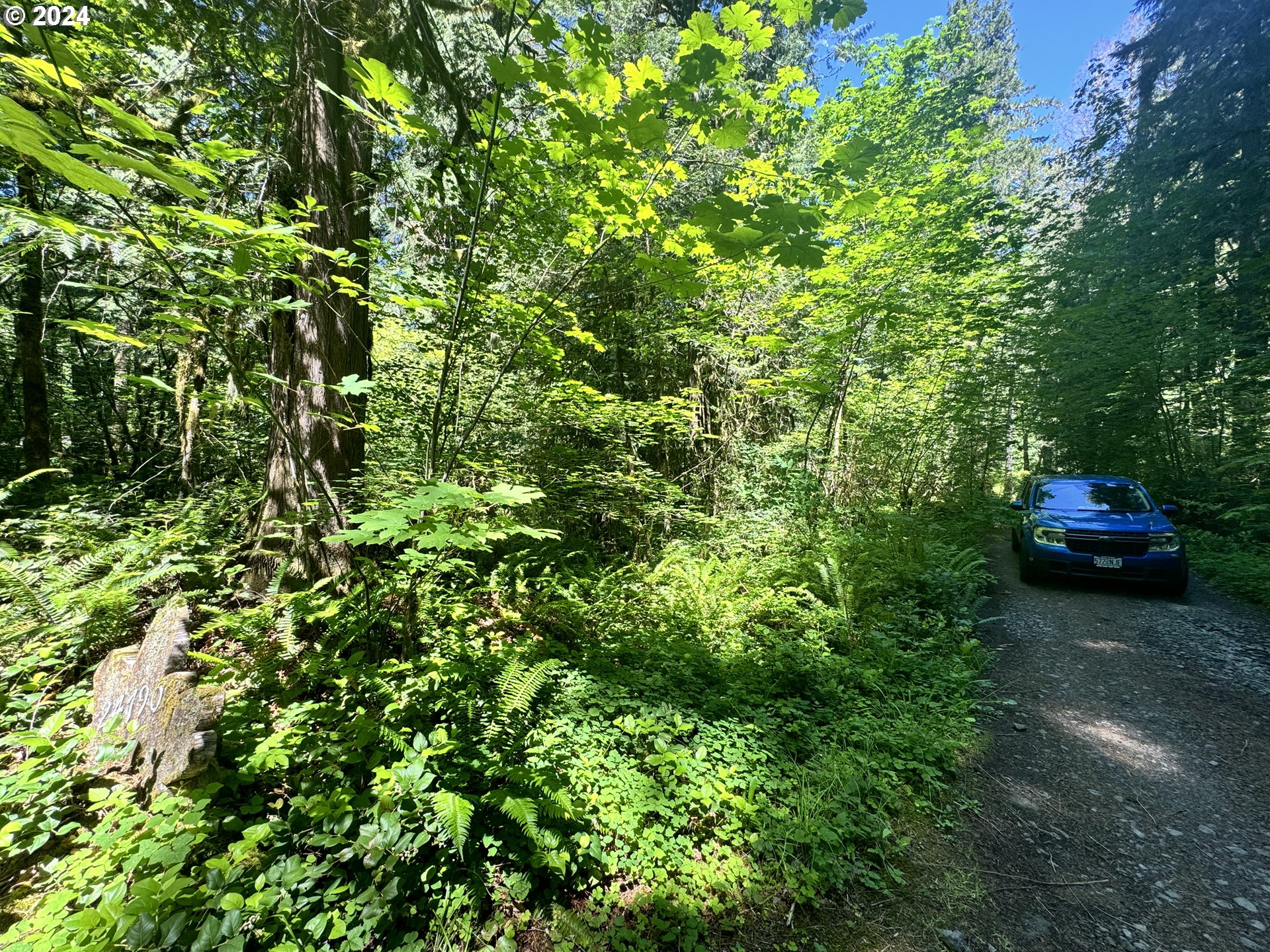 East Section Line Road Rhododendron, OR 97049 - Photo 4 of 7 Gallery Image 4
