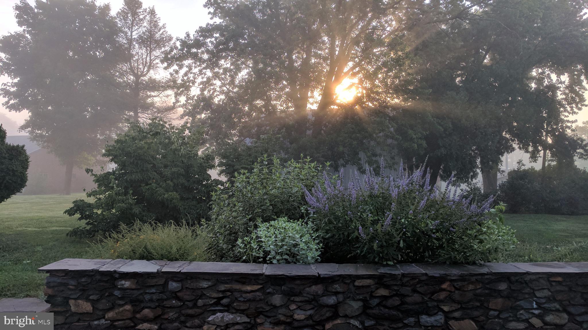 20775 Airmont Road Bluemont, VA 20135 - Photo 16 of 78 View from patio