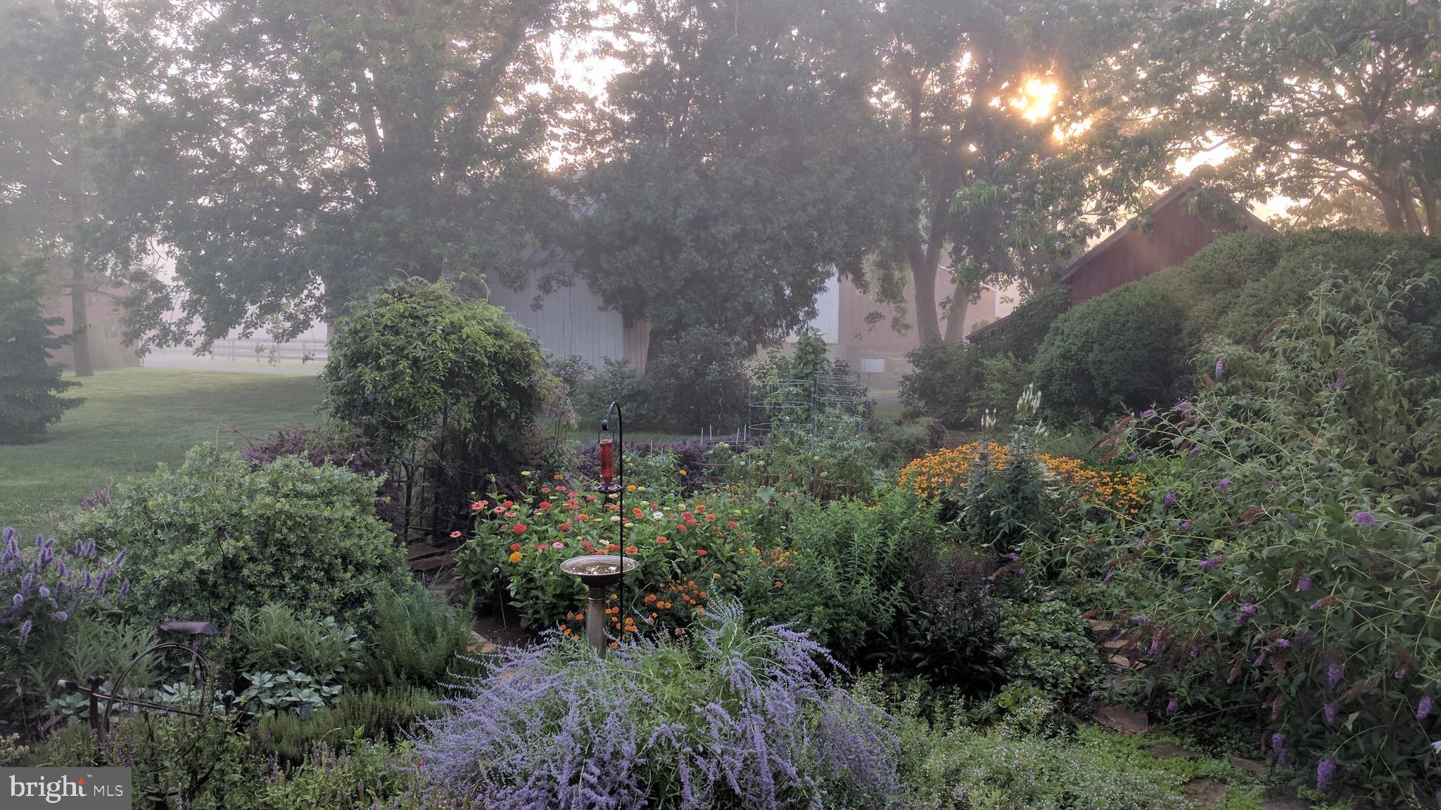 20775 Airmont Road Bluemont, VA 20135 - Photo 17 of 78 English garden