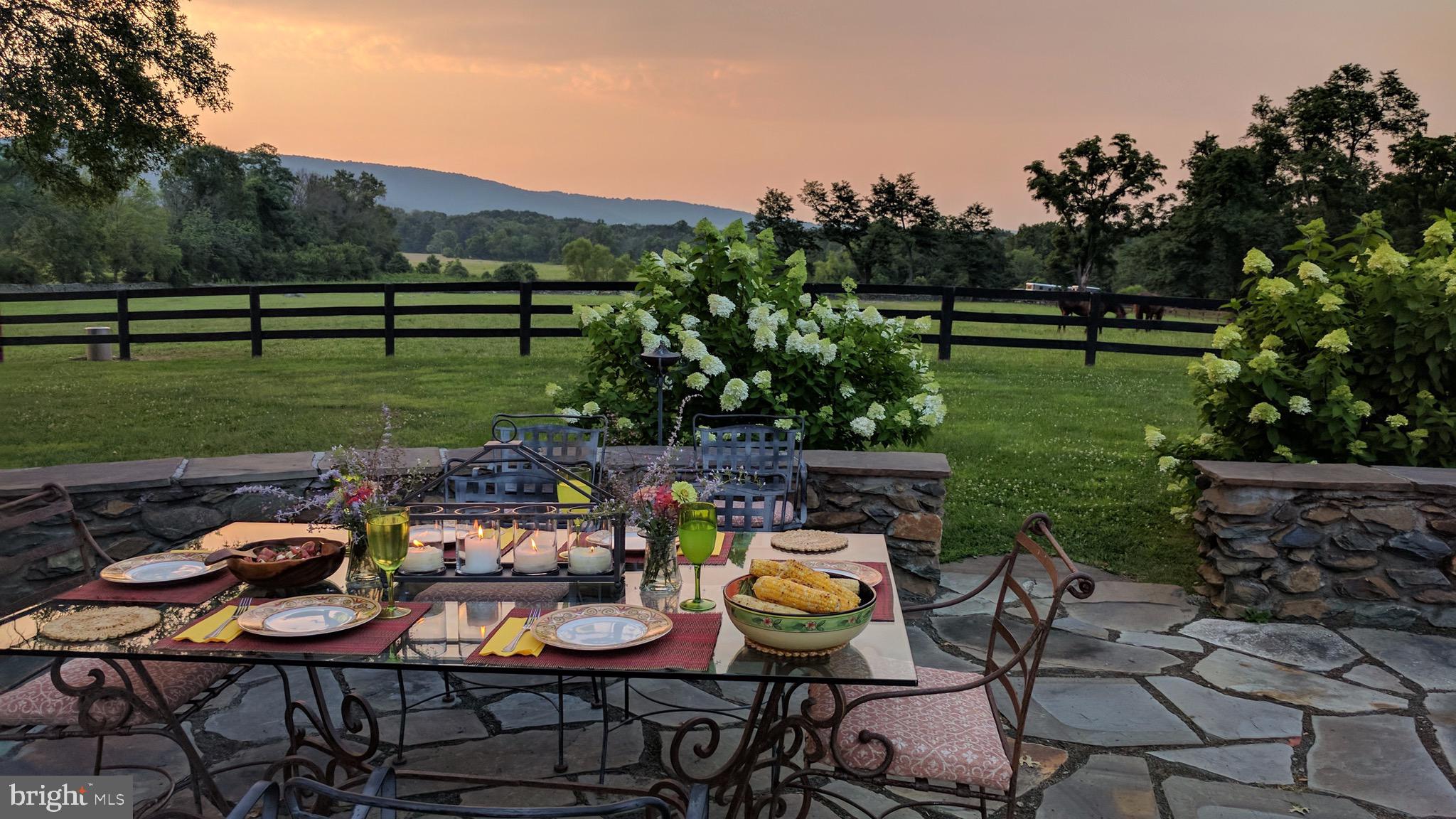 20775 Airmont Road Bluemont, VA 20135 - Photo 18 of 78 Dining al fresco on patio