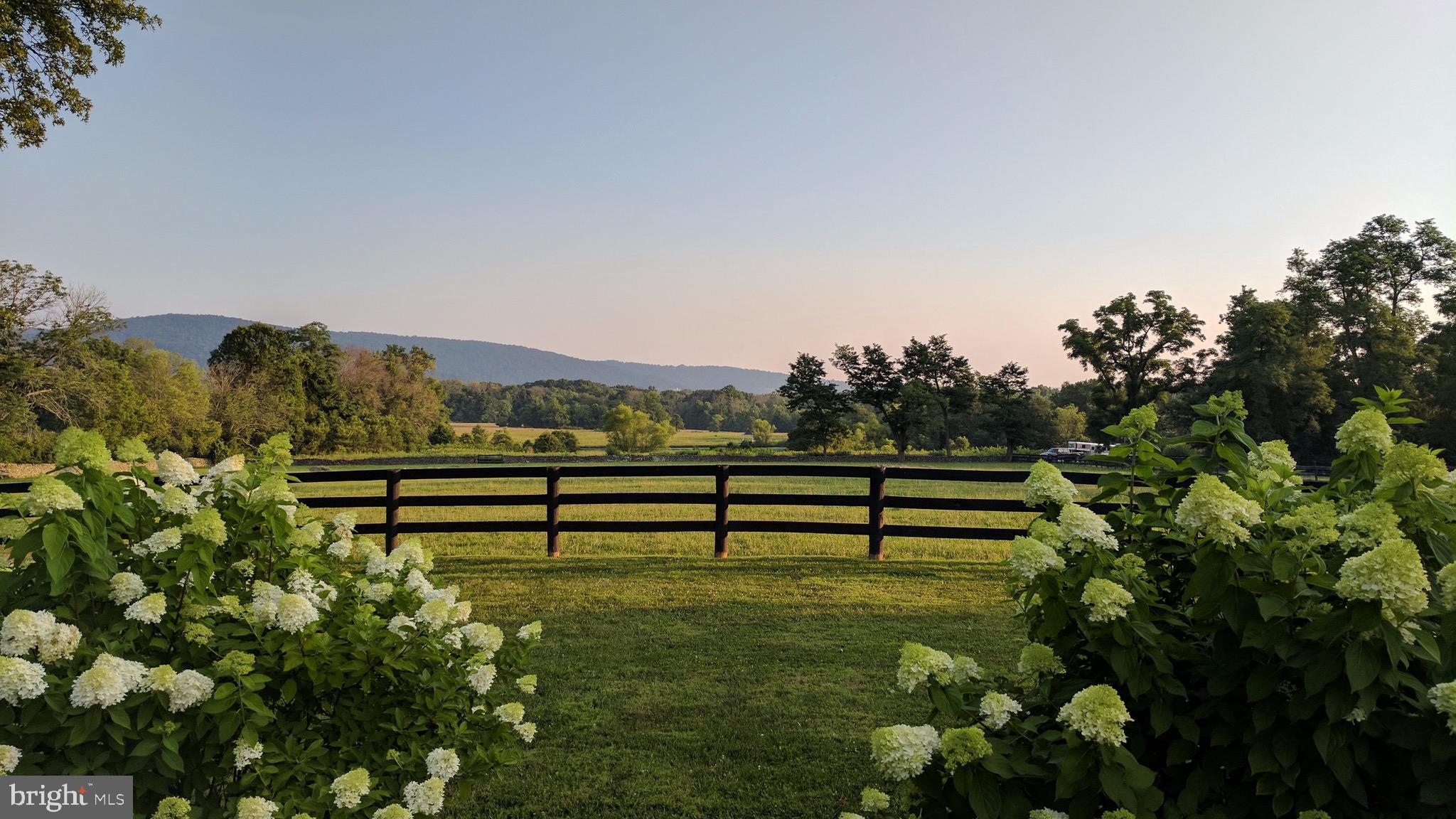 20775 Airmont Road Bluemont, VA 20135 - Photo 19 of 78 View from rear of home