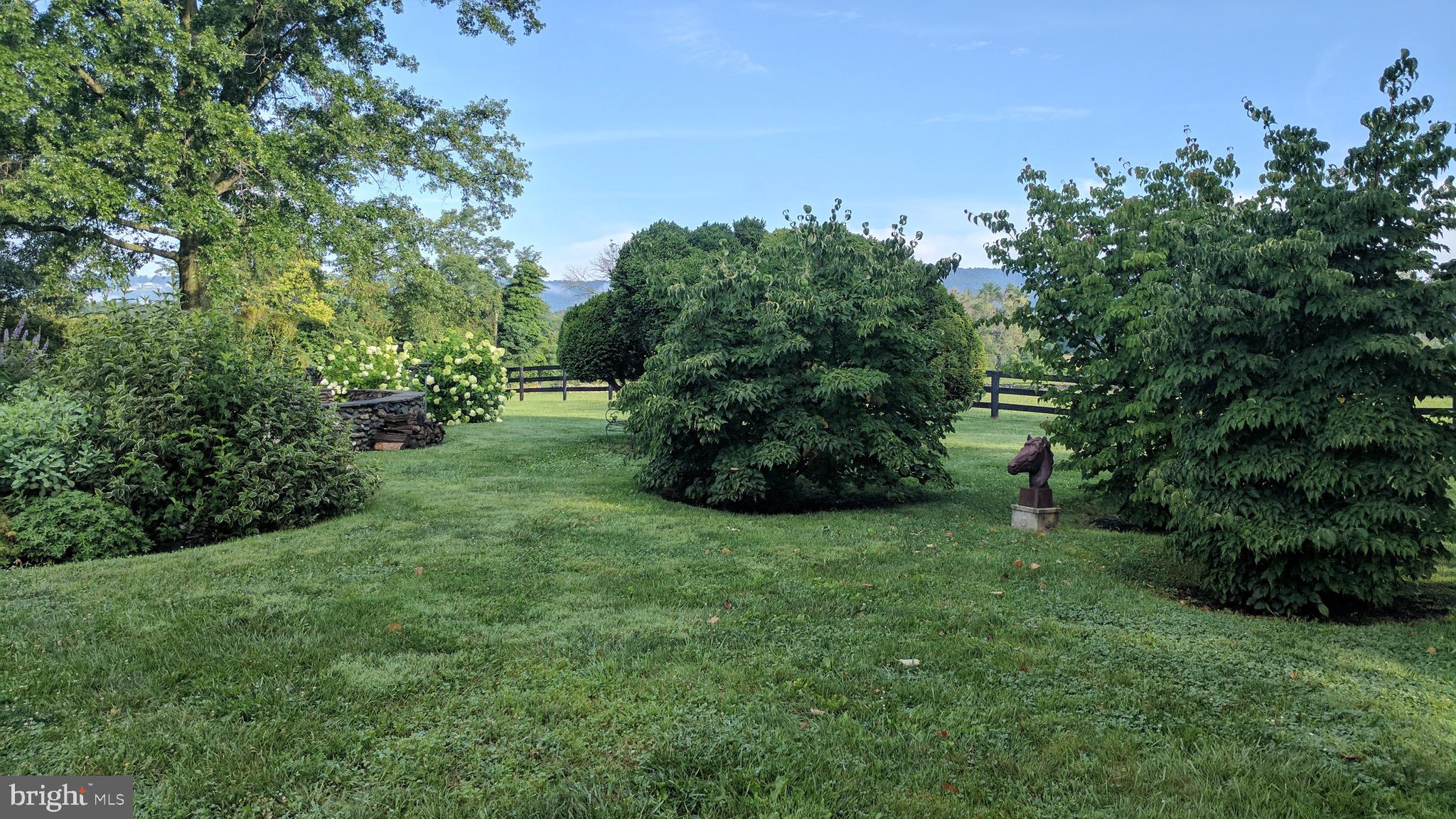 20775 Airmont Road Bluemont, VA 20135 - Photo 20 of 78 Lawn in rear of home