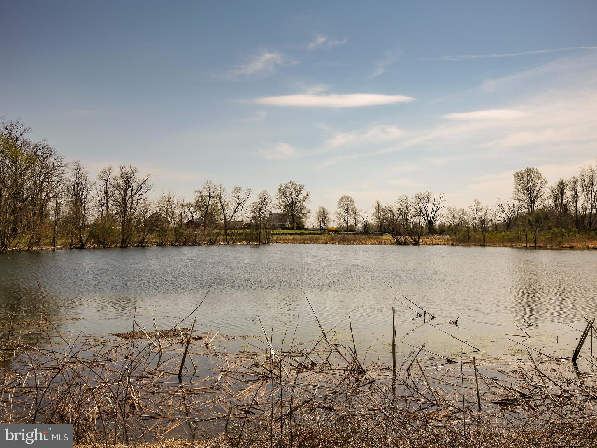 20775 Airmont Road Bluemont, VA 20135 - Photo 23 of 78 Pond fed by creek