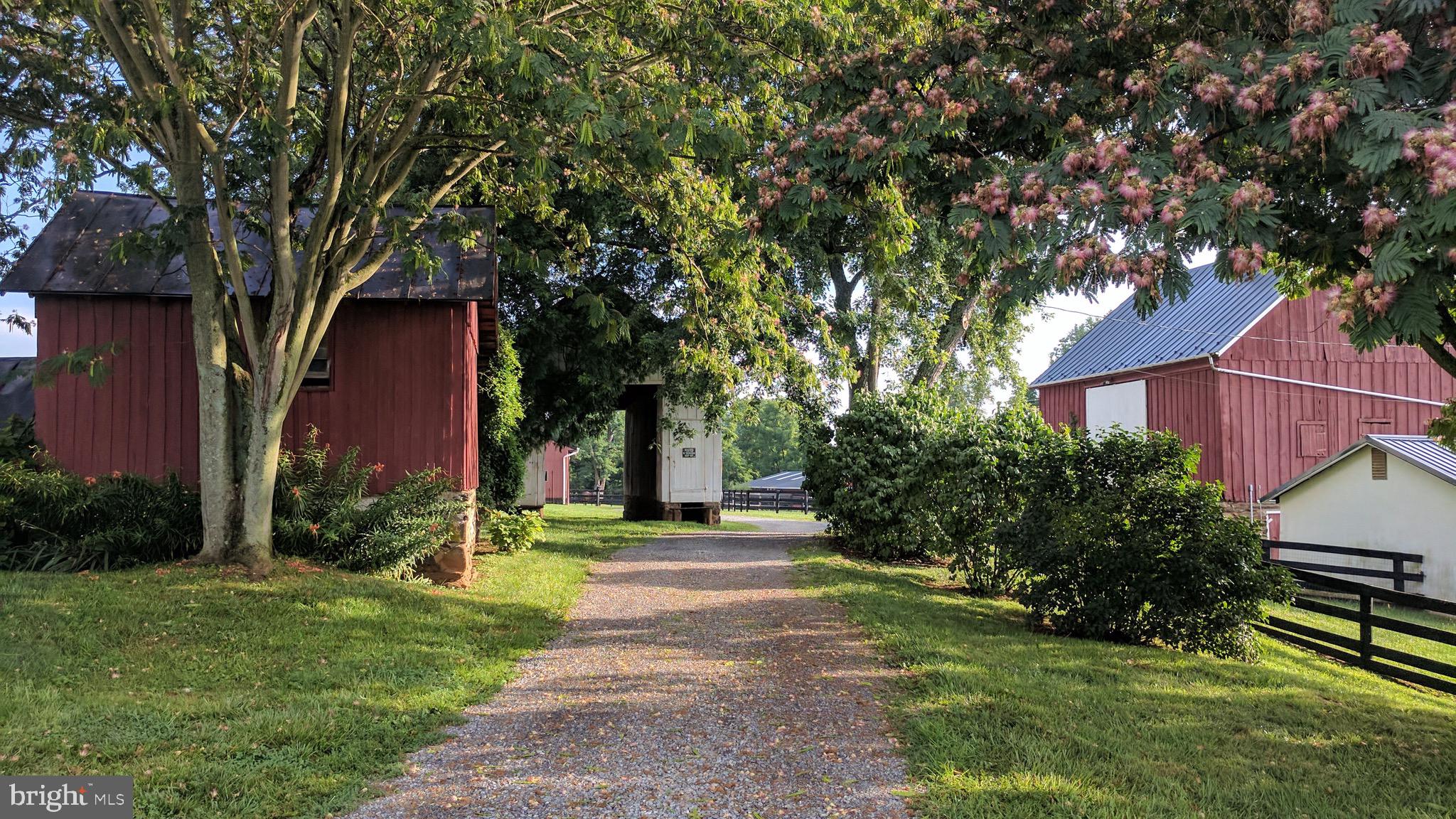20775 Airmont Road Bluemont, VA 20135 - Photo 28 of 78 Pretty lane from home to barns, stable