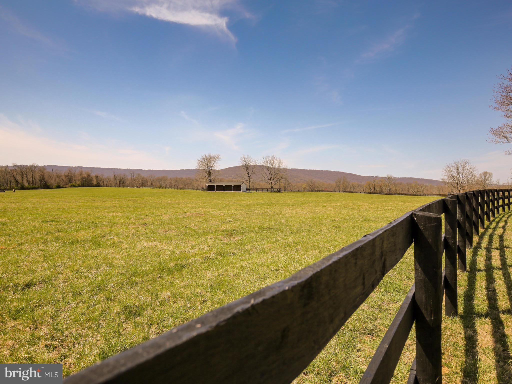 20775 Airmont Road Bluemont, VA 20135 - Photo 40 of 78 Fenced paddock