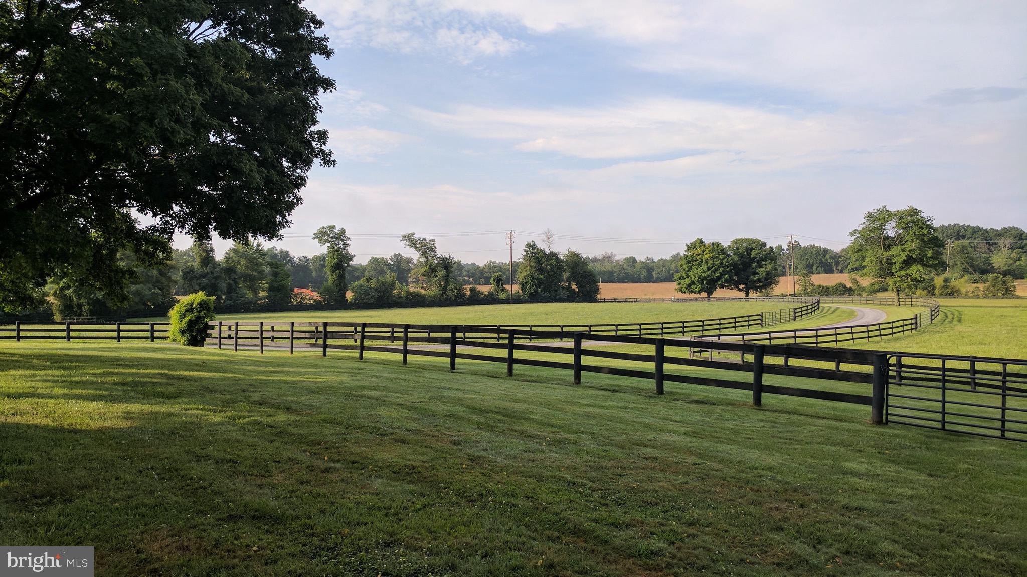 20775 Airmont Road Bluemont, VA 20135 - Photo 41 of 78 Fenced paddock