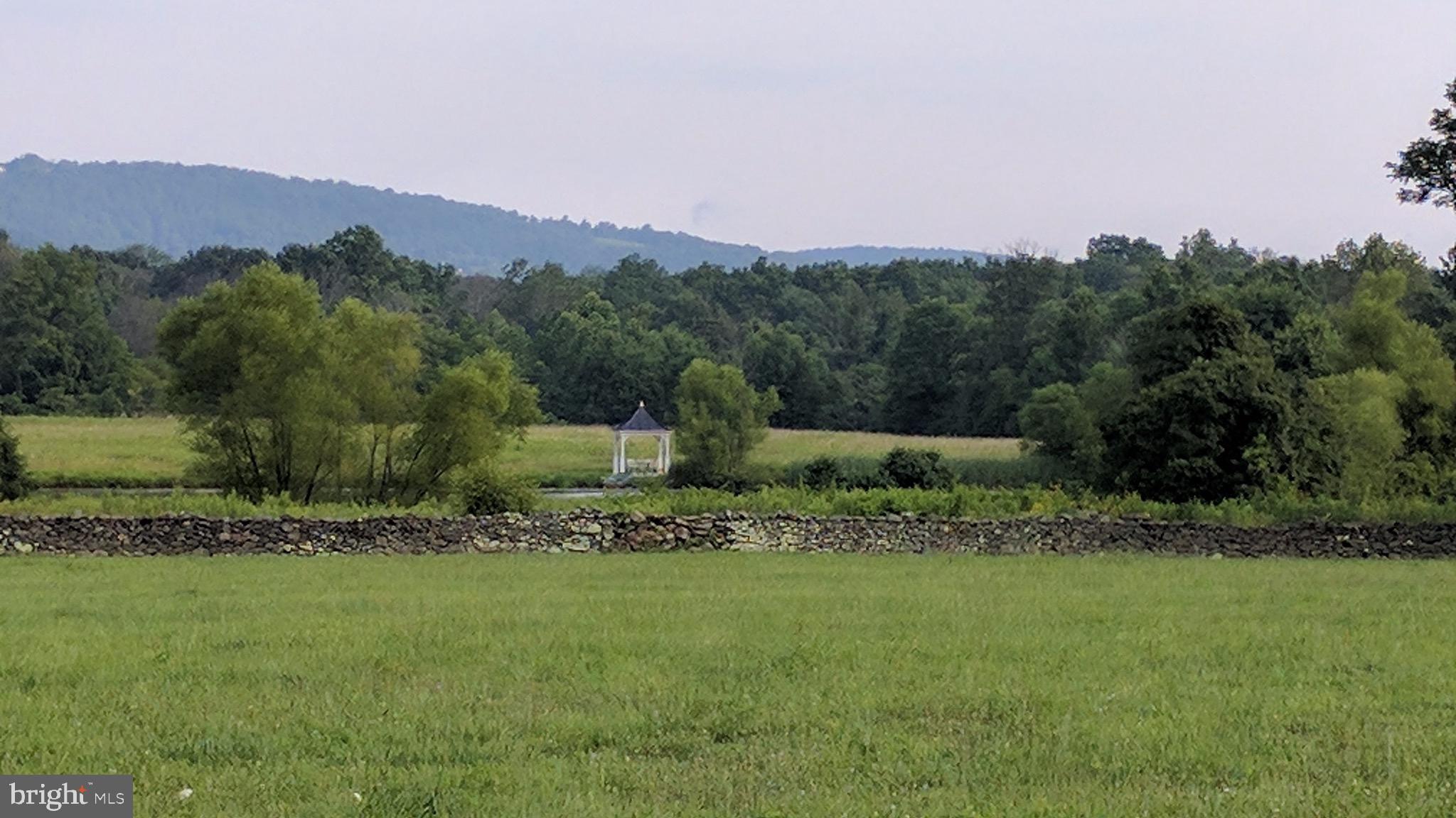 20775 Airmont Road Bluemont, VA 20135 - Photo 43 of 78 Field with stone wall, trees and mountain views