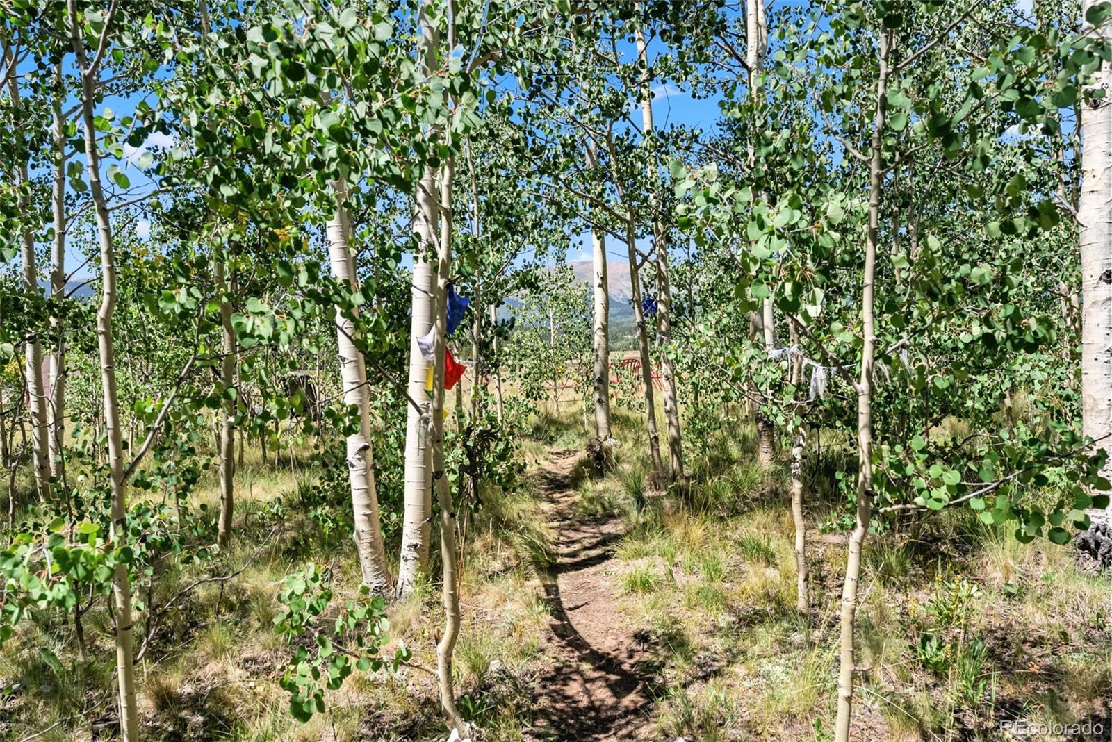 228 Glacier Ridge Road Alma, CO 80420 - Photo 21 of 50 Gallery Image 21